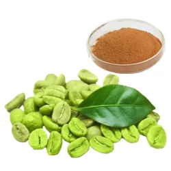 green coffee bean extract chlorogenic acid 45 50 250x250 1